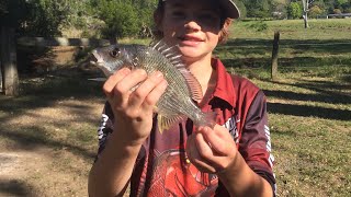 Bream fishing nsw fishing nswbream australia fishingaustralia [upl. by Narrad312]