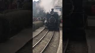 Darjeeling Himalayan Railway [upl. by Ashien]