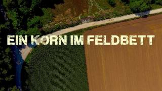 Andre Lederer  Ein Korn im Feldbett Freetrack [upl. by Cortie]