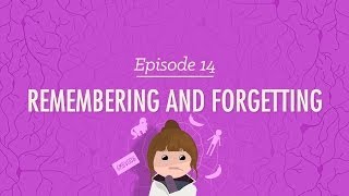 Remembering and Forgetting Crash Course Psychology 14 [upl. by Dorlisa]