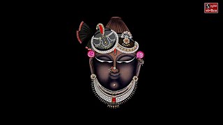 O Shrinathji Aawjo Tame  Beautiful Shrinathji Song [upl. by Hawkins]