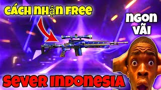 Loger nhận miễn phí skin chim gõ kiến sever Indonesia free mà mạnh vãi nồi [upl. by Acirtal]