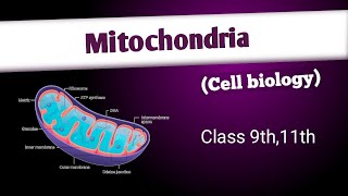 Mitochondriastructure composition and functionscell  cell biology [upl. by Jule]