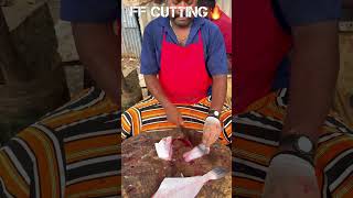 KASIMEDU🔥SPEED SELVAM LETHER JACKET FISH CUTTING VIDEO kasimeduselvam fishcutting youtubeshorts [upl. by Australia67]