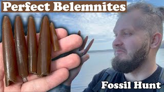 Belemnites personal record broken Fossil Hunting [upl. by Ahtram753]