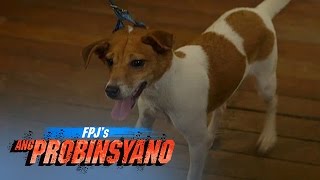 FPJs Ang Probinsyano Caryok With Eng Subs [upl. by Quennie]