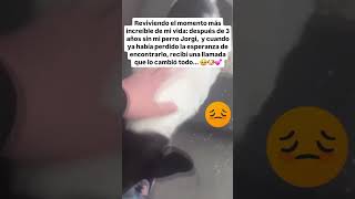 La Sorprendente Historia de un Perro y su Dueño que Te Dejará Sin Palabras [upl. by Alaunnoif947]