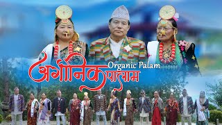 Arganik Palam  अर्गानिक पालाम  Niranta Nembang [upl. by Erb676]