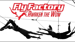 Flying Trapeze Experience at Fly Factory  18102014 [upl. by Rani482]