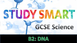 B2 DNA EDEXCEL [upl. by Aileduab]