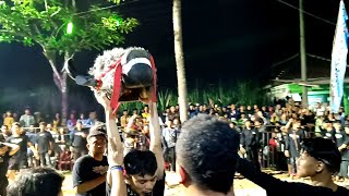 FULL KALAPAN OBRAK ABRIK PENONTON  BANTENGAN PUTRA BUDHENGAN [upl. by Anela243]