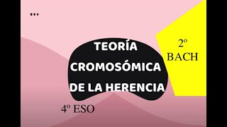 TEORÍA CROMOSÓMICA DE LA HERENCIA 4º ESO [upl. by Mulac613]