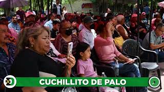 🖋️ LOS POLÍTICOS  Cuchillito de palo [upl. by Thacker405]