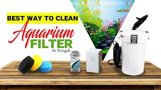 How To Clean Any Aquarium Filter  সম্পূর্ণ বাংলায় [upl. by Aicil]