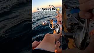 This Fish Almost SPOOLED Me shorts kayakfishing offshorefishing tuna hobielynx fish blackfin [upl. by Molli]