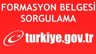 EDevlet Formasyon Belgesi Sorgulama Nasıl Yapılır [upl. by Atiuqrahs]