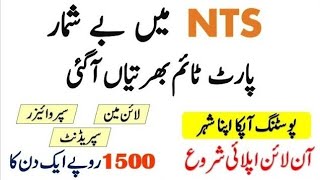 NTS Jobs 2024  National Testing Service Jobs 2024  Download Application Form [upl. by Anirrehs]