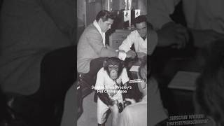 Scatter Elvis Presleys Pet Chimpanzee elvispresley [upl. by Mw]