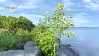 Lions Point Waterfront Trail Seaview  Ajax Ontario [upl. by Ahsitul]