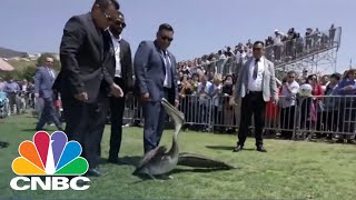 Pelicans Crash Pepperdine University Graduation  CNBC [upl. by Llewen]