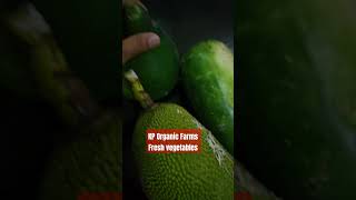 KP Organic Farms Fresh vegetables [upl. by Atilem]