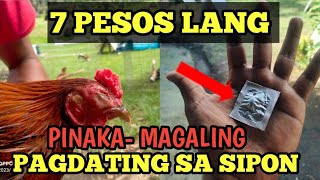 Paano Gamutin ang Sipon ng Manok  Ano ang gamot sa Sipon ng Manok  Linyada ng Mamay [upl. by Laroc]