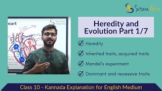 17 Inherited Acquired Dominant Recessive Traits  Heredity and Evolution Class 10  Kannada [upl. by Enoyrt341]