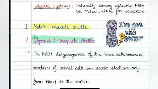 Shuttle Systems Malate Aspartate shuttle and Glycerol 3phosphate shuttle neetpgpreparation [upl. by Aydidey]