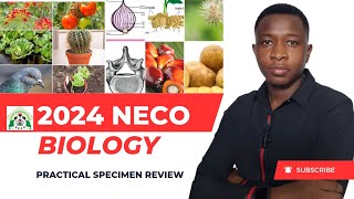 Biology practical NECO 2024 necopractical necostudents [upl. by Feetal]