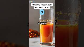 5 Amazing Facts About Sea Buckthorn zapetv fruit facts [upl. by Aicile321]