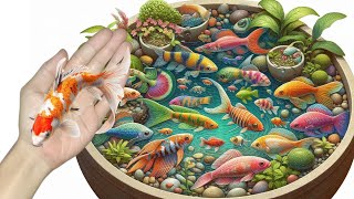 catching fish colorful fish goldfish koi fish betta fish turtles crabs catfish [upl. by Shiroma620]