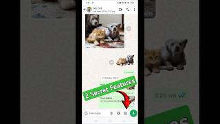 WhatsApp Camera 2 Secret Features  WhatsApp New Features whatsapp whatsappstatus efa [upl. by Eiznik81]