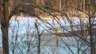 Brushy Creek lake Iowa Ice fishing report by WillCFish Tips and Tricks [upl. by Ivetts4]