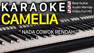 CAMELIA Karaoke Nada Cowok  Rhoma Irama  Tasya Rosmala Versi Adella [upl. by Meehyr]