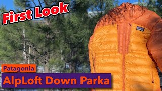 First Look At The Patagonia AlpLoft Down Parka [upl. by Fen]