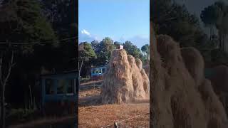 Nanda Devi Temple l Munsiyari l Panchachulli Parvat l Uttarakhand shorts [upl. by Erelia]