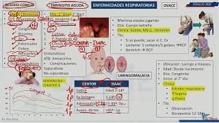 Enfermedades respiratorias Altas  IRAs [upl. by Ahsytal]