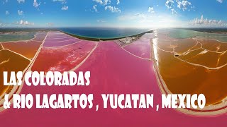 All you need to know about Las Coloradas amp Río Lagartos in Yucatán  Mexico [upl. by Fiden]