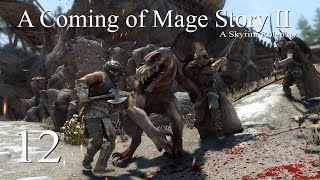 Skyrim Roleplay A Coming of Mage Story Ep12 The Battle of Robbers Gorge [upl. by Ariaes205]