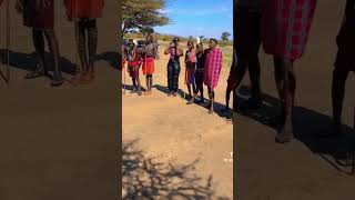 Maasai Nation 🔥🌹shortvideo short love funny dance culture [upl. by Savdeep381]