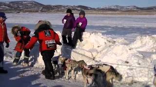 Aliy Zirkle in Unalakleet [upl. by Atiz]