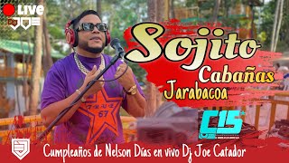 🔴LIVE DESDE SOJITO CABAÑA JARABACOA HBD DE NELSON DIAS EN VIVO DJ JOE CATADOR [upl. by Conah]