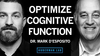 Dr Mark DEsposito How to Optimize Cognitive Function amp Brain Health [upl. by Harlene148]