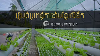 Hydroponic system design in cambodia​ 01 [upl. by Enaej]