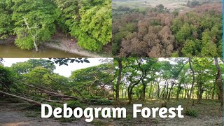 Debogram Forest  কলকাতা থেকে দেবোগ্রাম  Morning Ride viral motovlog [upl. by Norit925]