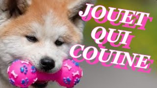 Jouet qui Couine  Bruitage SON JOUET CHIEN SON POUR APPEL CHIEN [upl. by Cornew407]