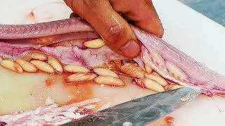 Korean Street Food  HAGFISH Seafood Korea [upl. by Blynn]