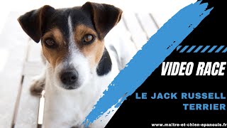 Video Race Jack Russell Terrier  le point complet [upl. by Pals]