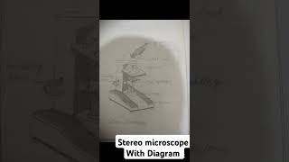 Stereo microscope [upl. by Orabelle]