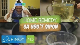 Pinoy MD Herbal medicines para sa ubo’t sipon alamin [upl. by Carr]